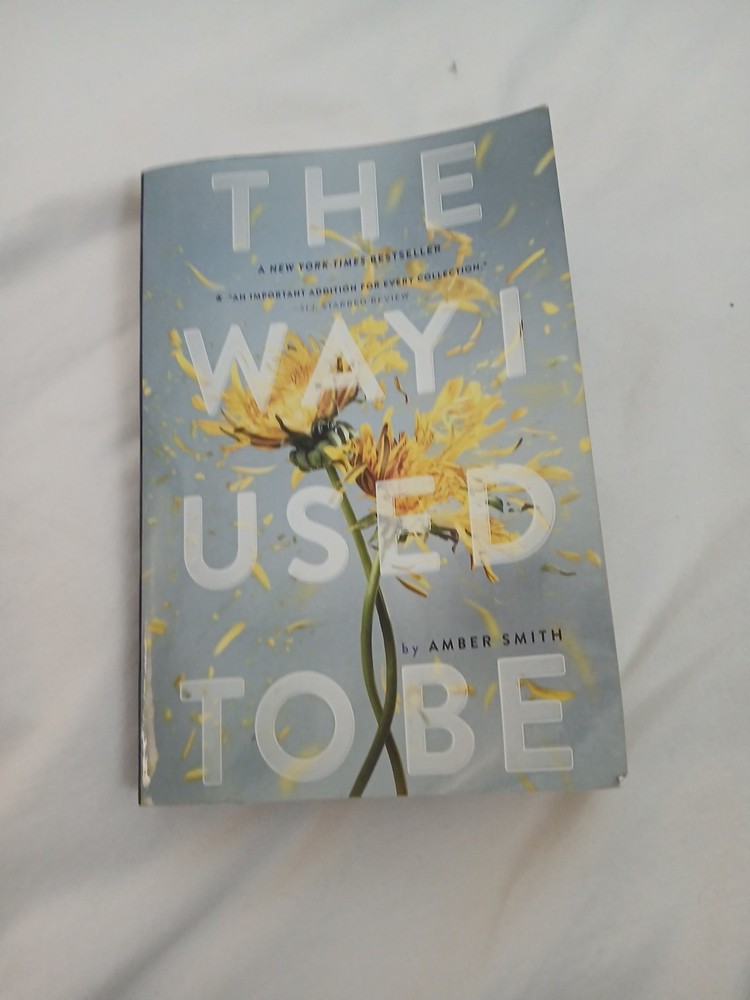 Way I Used to Be by Amber Smith (2017, Trade Paperback)