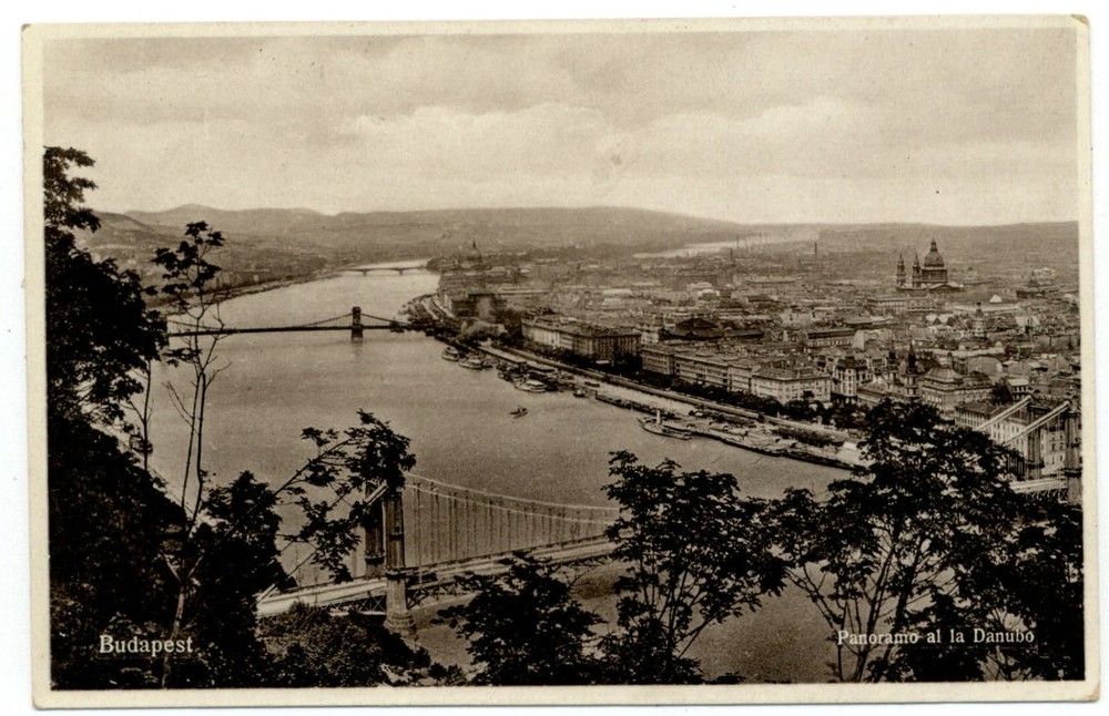 Budapest Hungary Panorama al la Danubo vintage postcard s449