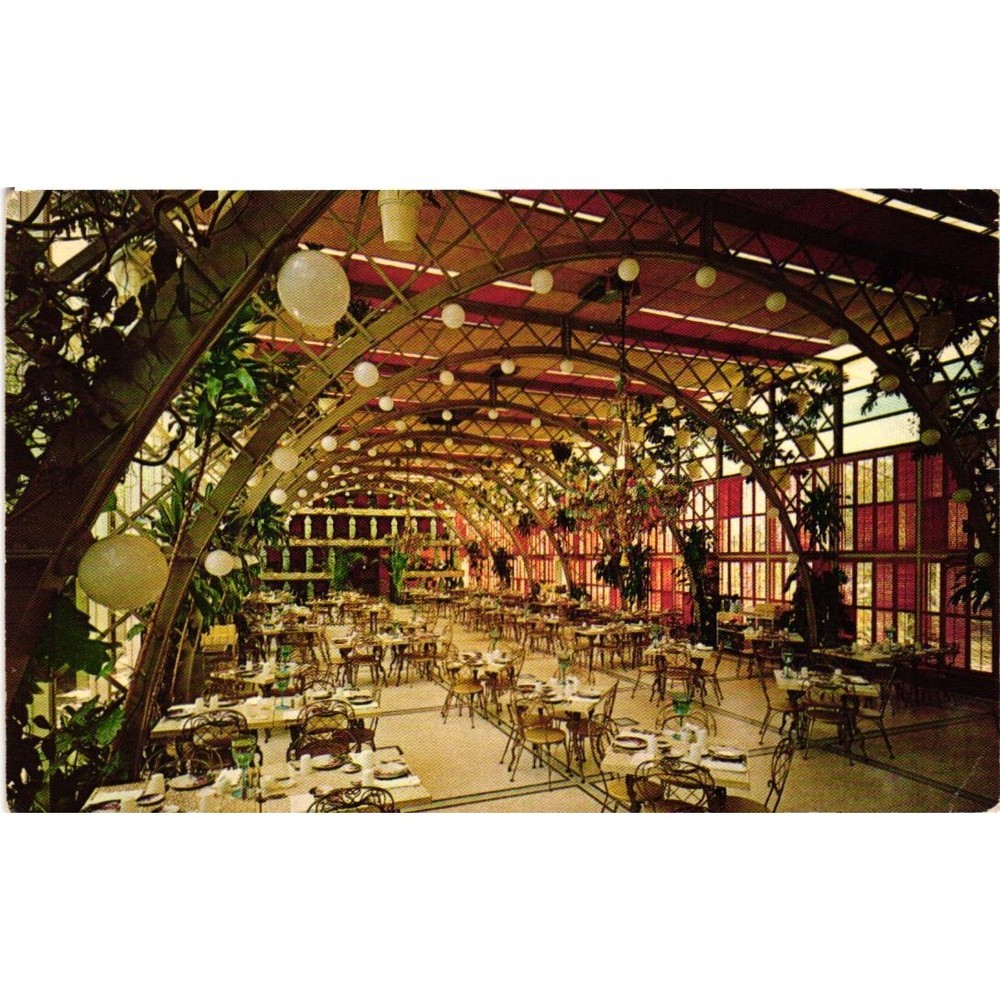 Vintage 1964 Kapok Tree Inn Postcard Clearwater Florida Room Tropical Restaurant