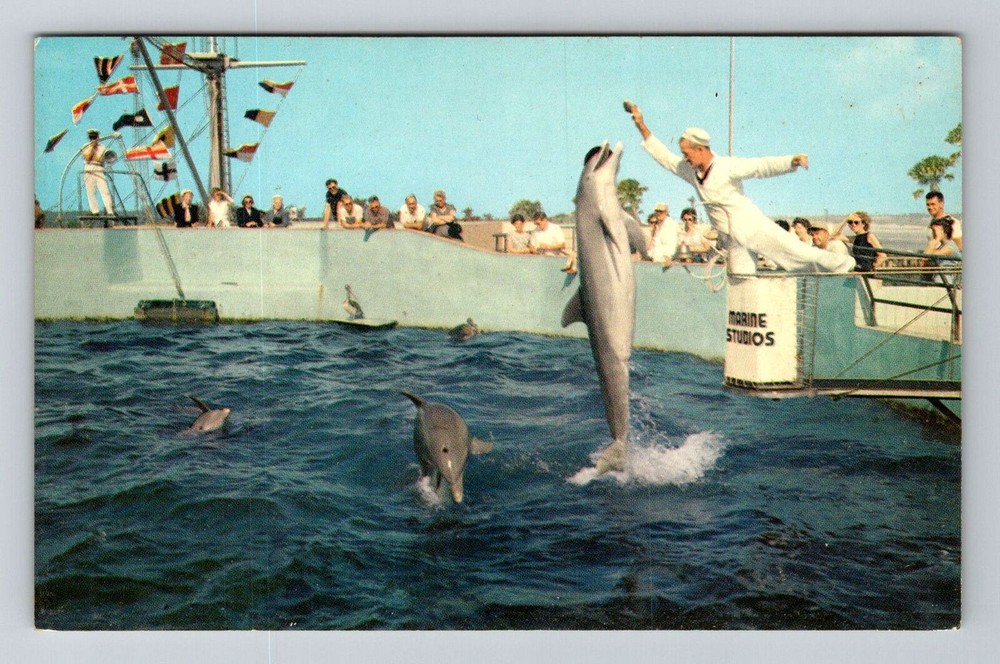 Miami Beach FL-Florida, Porpoises Leaping for Food, Vintage Postcard