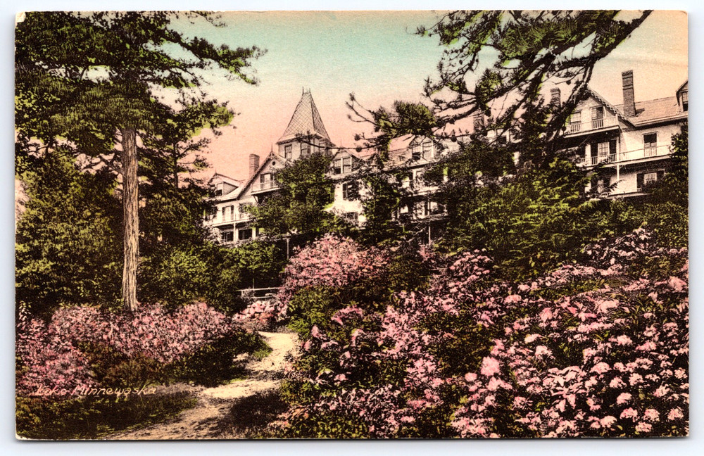 Lake Minnewaska New York Ny Wildmere Lake Front House Vintage Postcard
