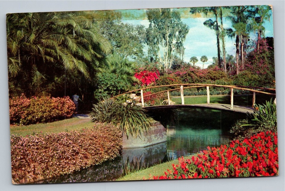 Vintage Cypress Gardens Florida Color Postcard by Robert R. Leahey