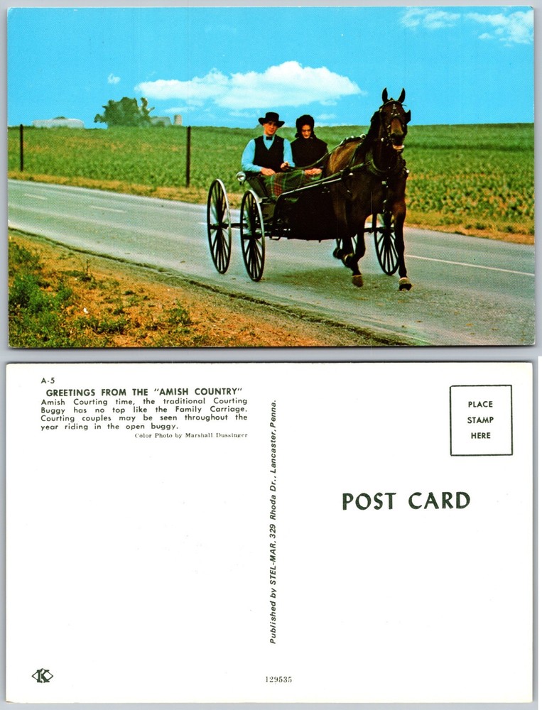 Amish Country Horse Buggy Couple Postcard