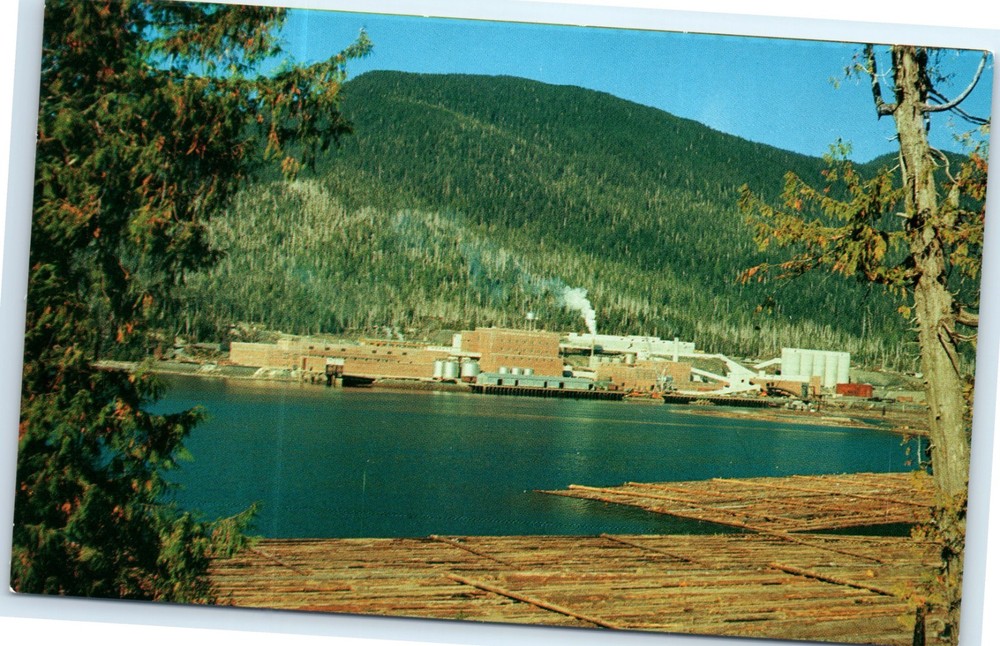 Vintage Postcard Ketchikan Pulp Co. Mill, Ward Cove, Ketchikan, Alaska