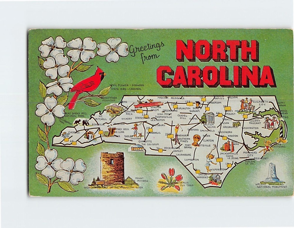 Postcard Greetings from North Carolina USA