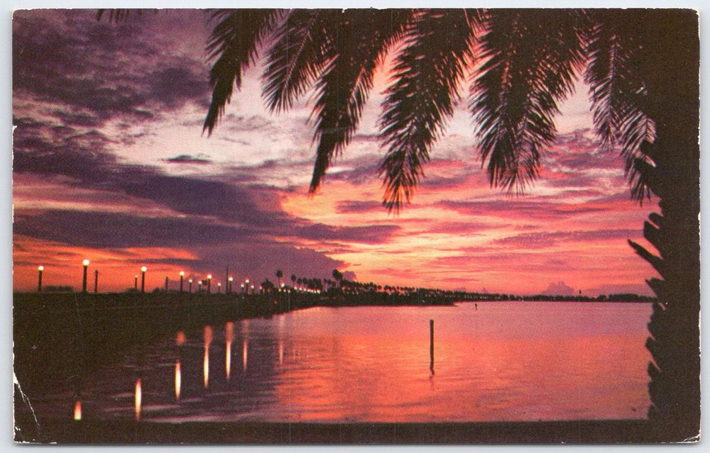 Vintage Florida Clearwater Bay Sunset Palm Tree Memorial Causeway Postcard