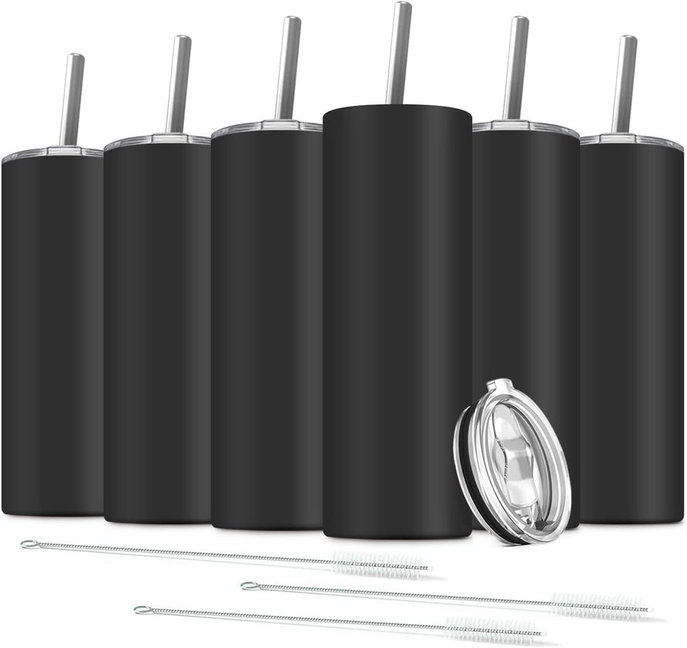 Double-Insulated 20 Oz Stainless Steel Tumblers - 6-Pack with Lids and Straws
