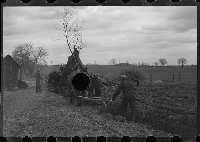 Photo:1930s Farm Plowing Horse Team Rural Field Farmworkers