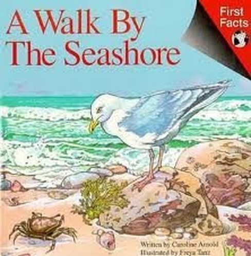A Walk by the Seashore (First Facts Series)