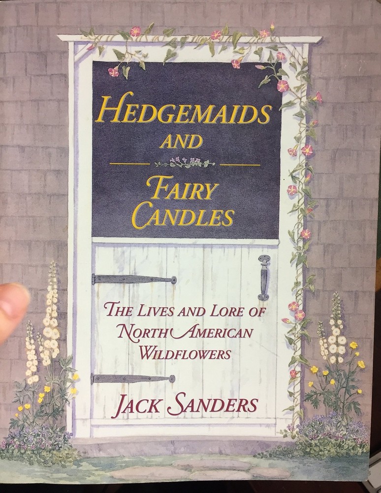 Hedgemaids & Fairy Candles: The Lives and Lore of North American Wildflowers