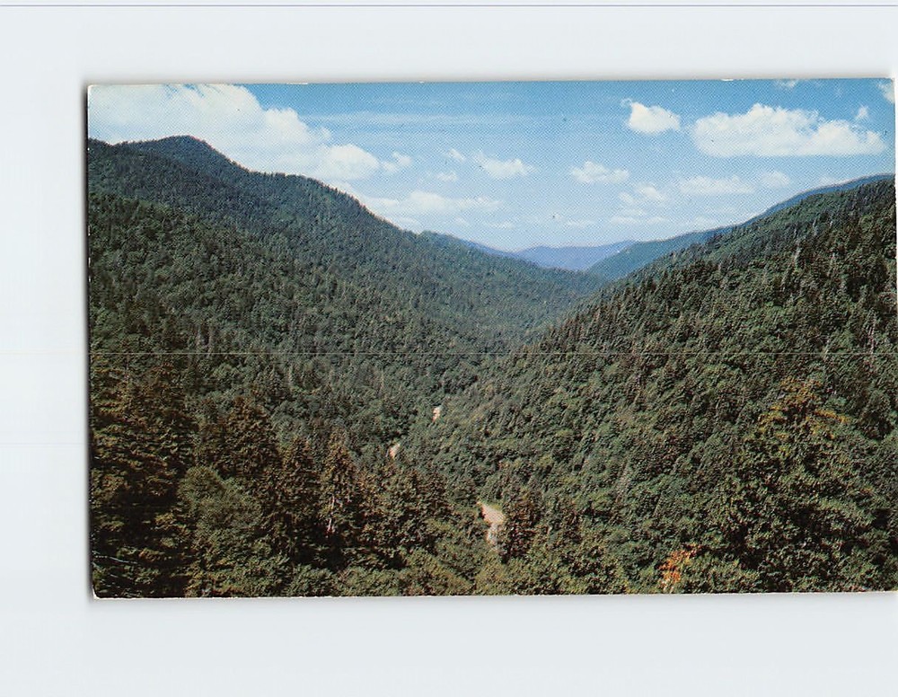 Postcard Little Pigeon River Valley Great Smoky Mountains National Park TN USA