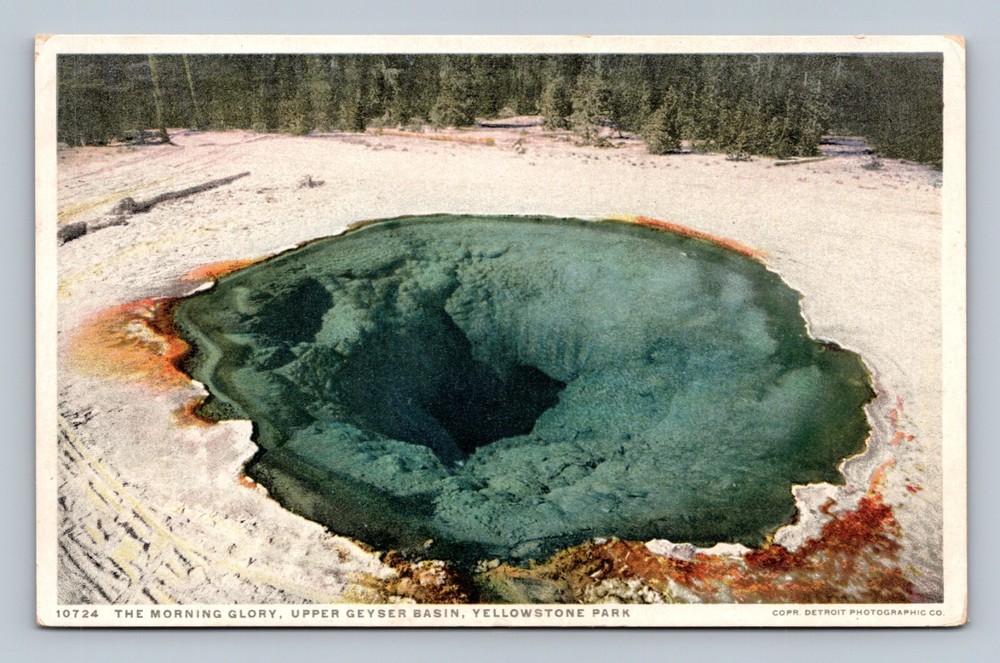 Postcard, The Morning Glory , Upper Geyser Basin, Yellowstone, Wyoming