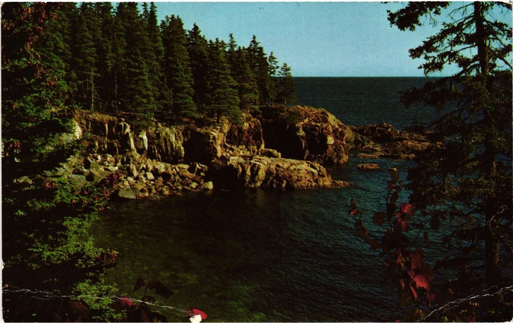 Vintage Postcard- Acadia National Park, Maine. 1960s-image