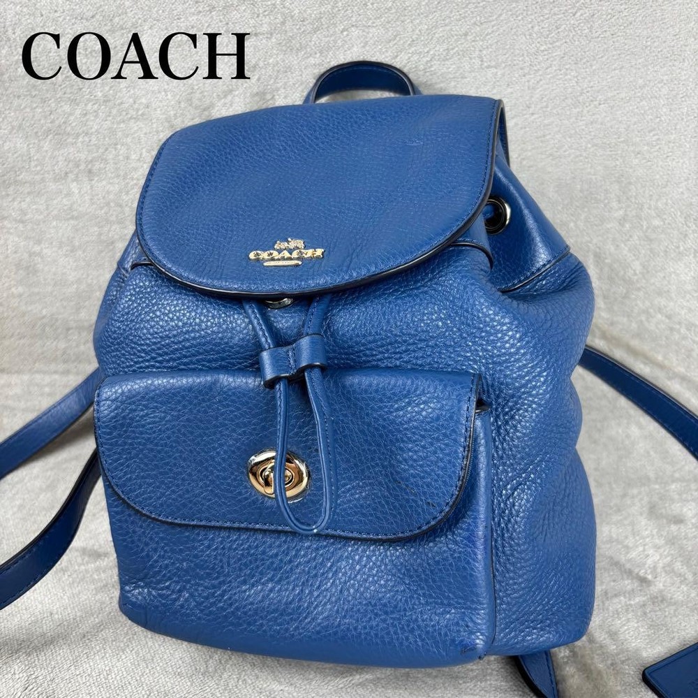 Authentic Coach Leather Blue Backpack Model G07111532