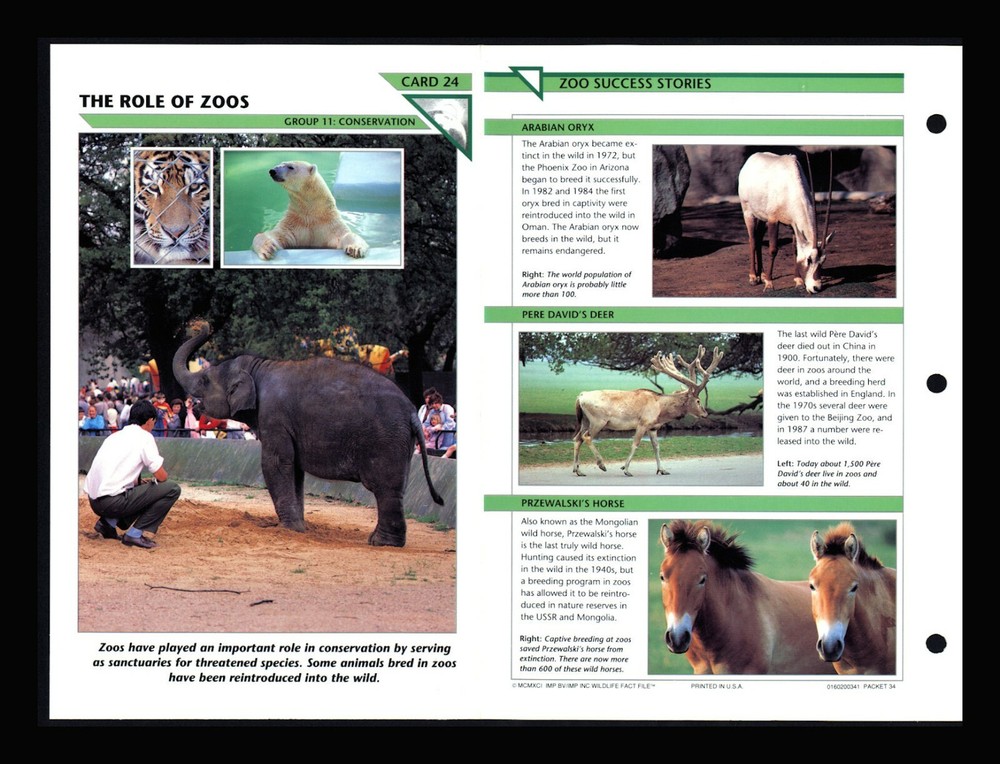 Zoos Wildlife Fact Cards for Conservation & Homeschool Education 11.24