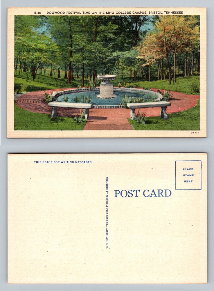 Bristol, TN-Tennessee, King College Campus Dogwood Fountain Vintage Postcard