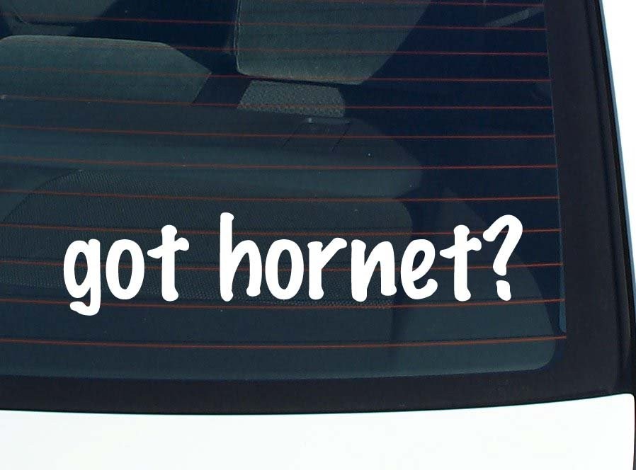 Hornet Car Decal Funny Bumper Sticker Vinyl Window Joke