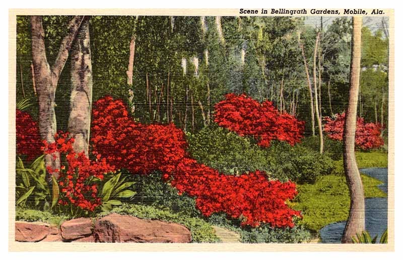 Postcard GARDEN SCENE Mobile Alabama AL m/09 AP4615