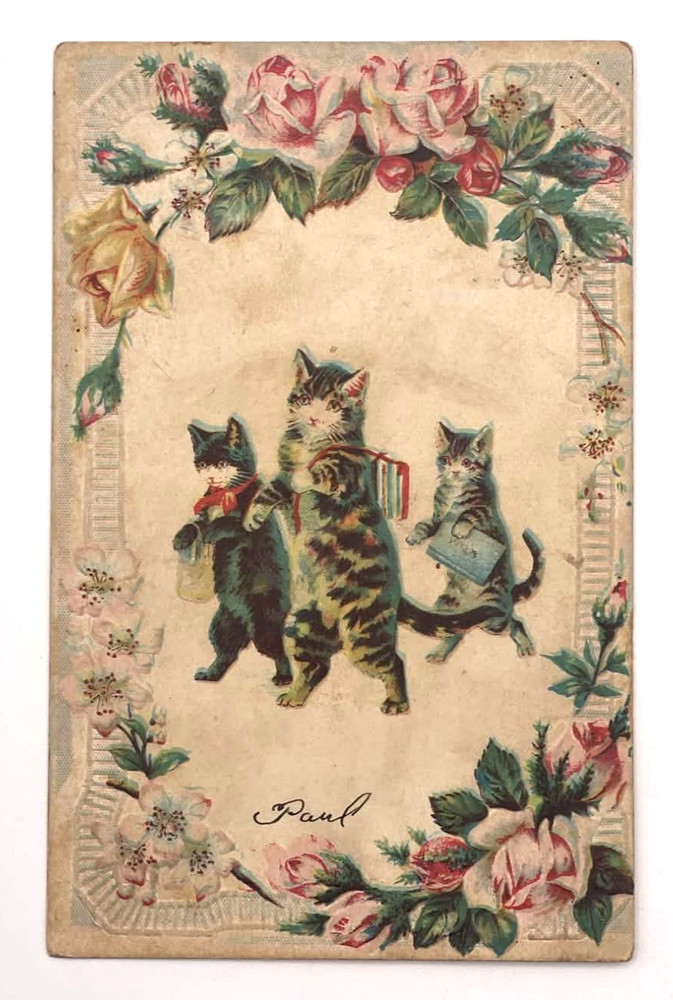 Antique Cats Carrying Books Roses Border Anthropomorphic Postcard