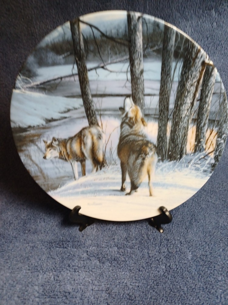 Northern Spirits, Call of the Wilderness # 6, Kevin Daniel, Edwin Knowles, 8.5