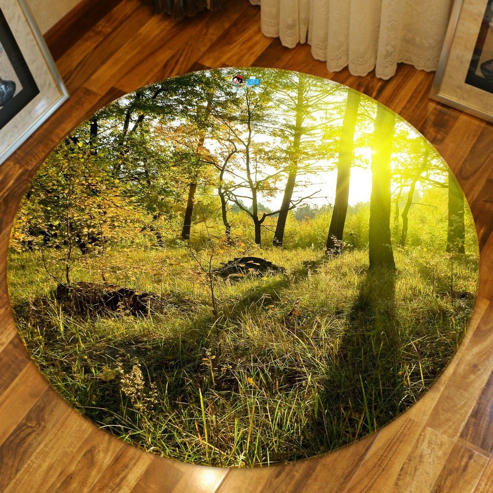 3D Woods Sunshine NAO3767 Game Rug Mat Elegant Photo Carpet Mat Fay