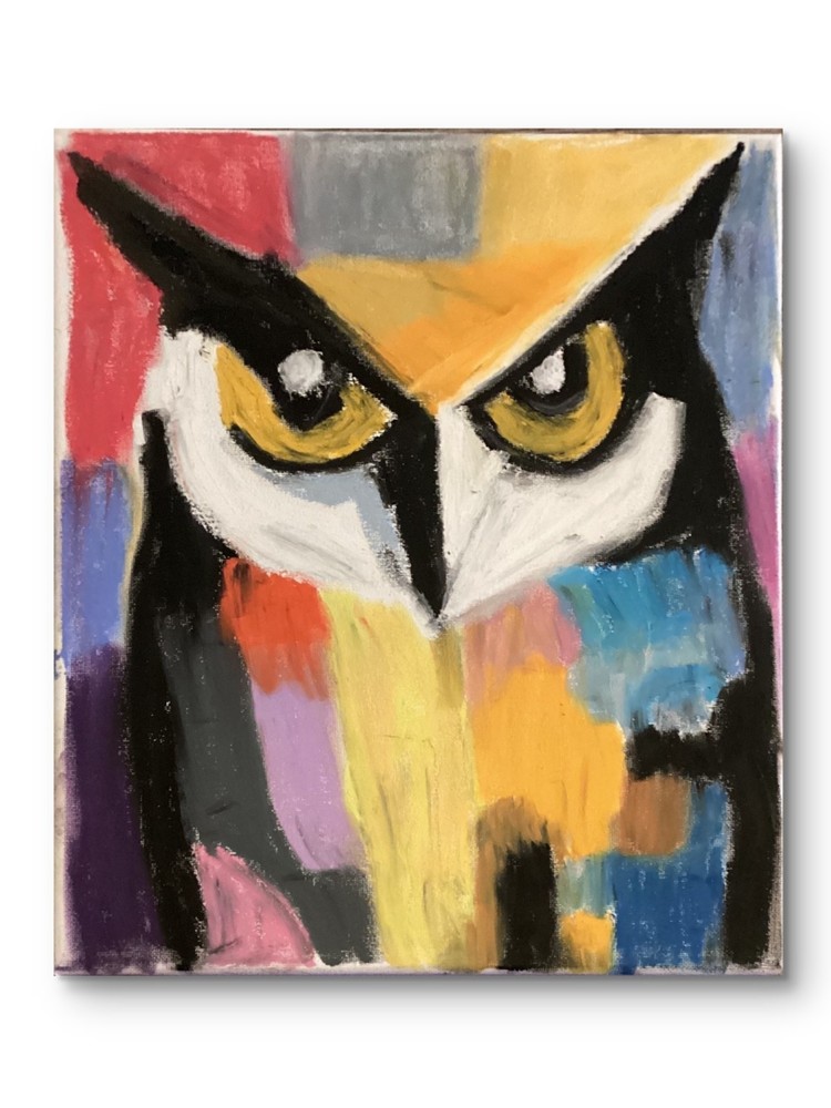 Pop Art Colorful Original Owl Bird 11 by 14 on Canvas