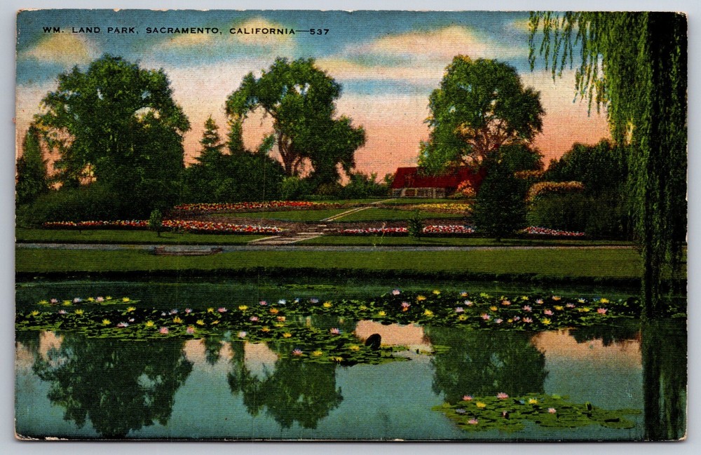Sacramento CA~View Of Lily Pad Pond @ WM Land Park~PM 1947~Vtg Linen Postcard