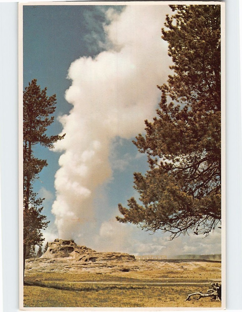Postcard Castle Geyser Yellowstone National Park Wyoming USA