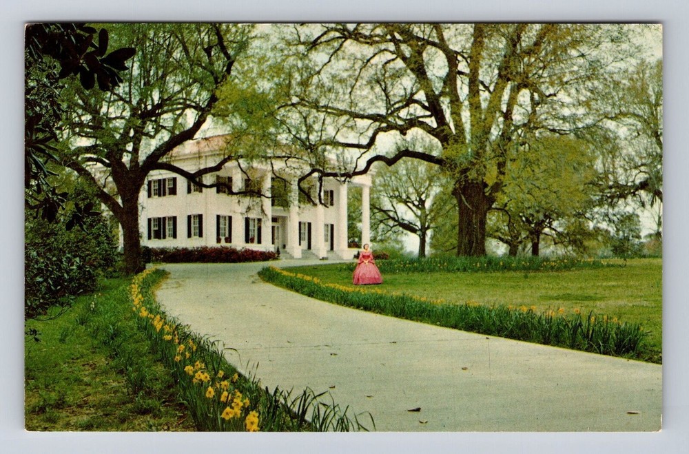 Natchez MS-Mississippi, D'Evereux Scenic View, Vintage Souvenir Postcard
