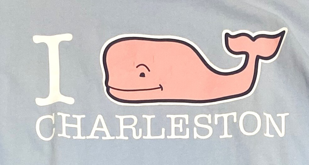 Vineyard Vines T Shirt Mens Small Blue T-Shirt Long Sleeve Whale Charleston Logo
