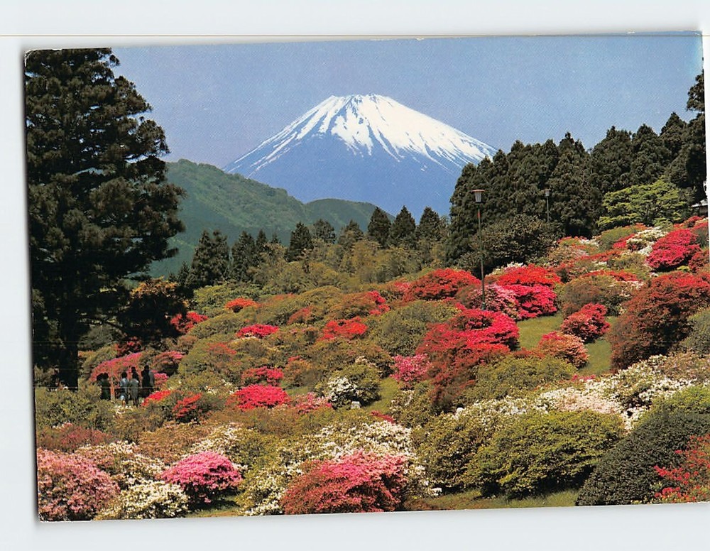 Postcard Mt. Fuji in Early Spring Japan