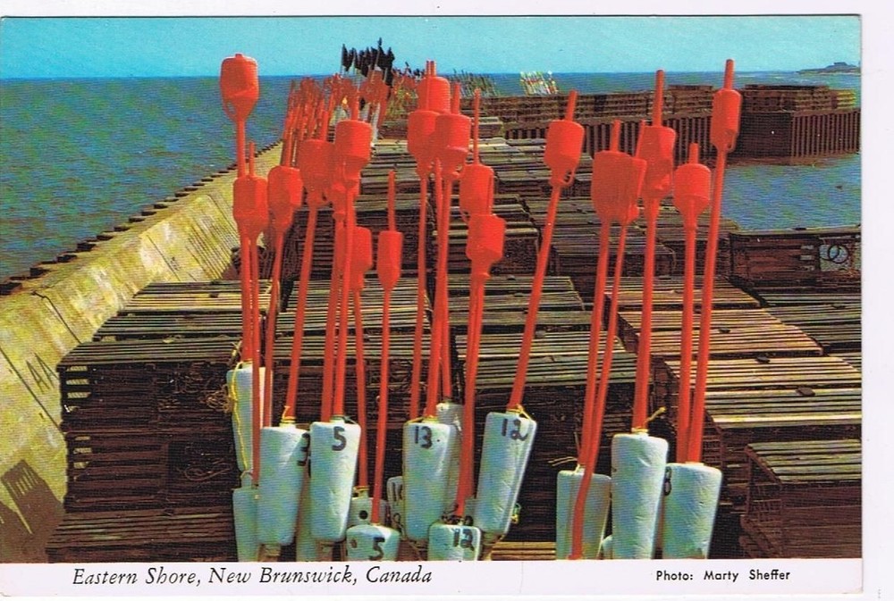 New Brunswick Postcard Eastern Shore Lobster Traps & Buoy Markers