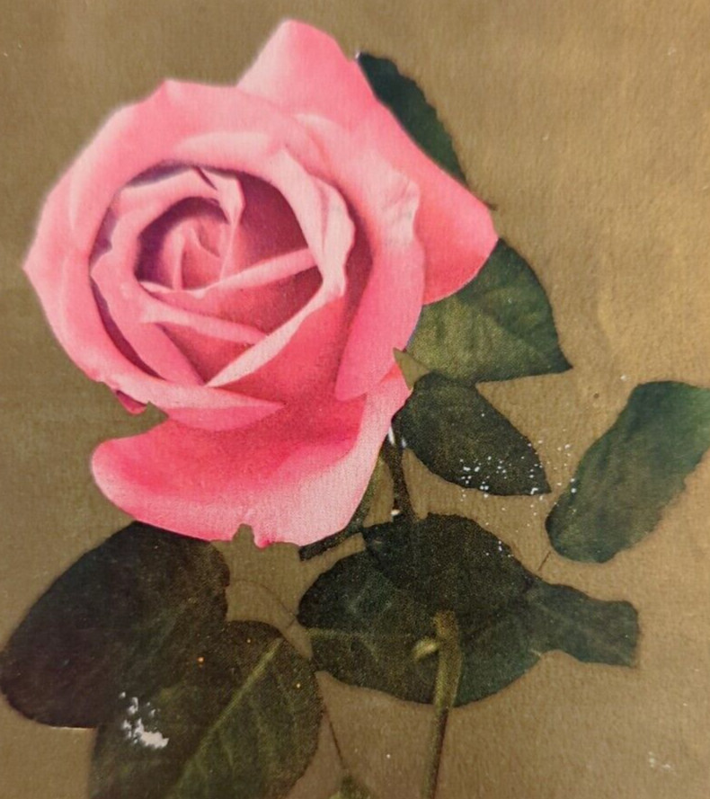 Floral Motif Sweetheart Greeting Pink Rose Gold Paper Poem Antique 1909 Postcard
