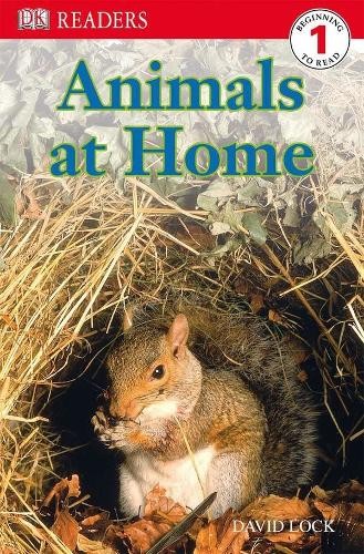 DK Readers L1: Animals at Home (DK Read..., Lock, David