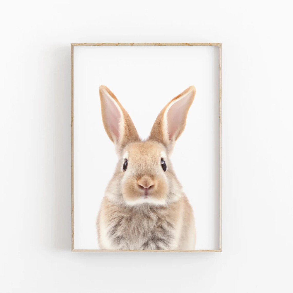 Baby Rabbit Bunny Wall Art Poster Premium Quality Choose your Size