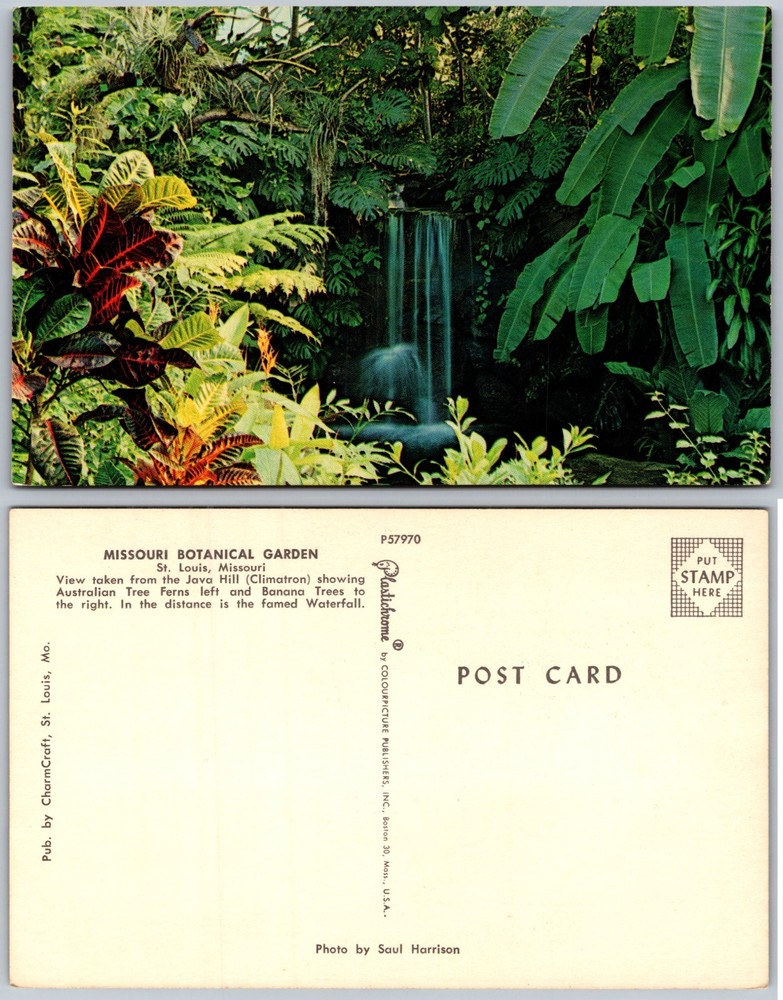 Missouri Botanical Garden Waterfall Tropical Plants St Louis Postcard