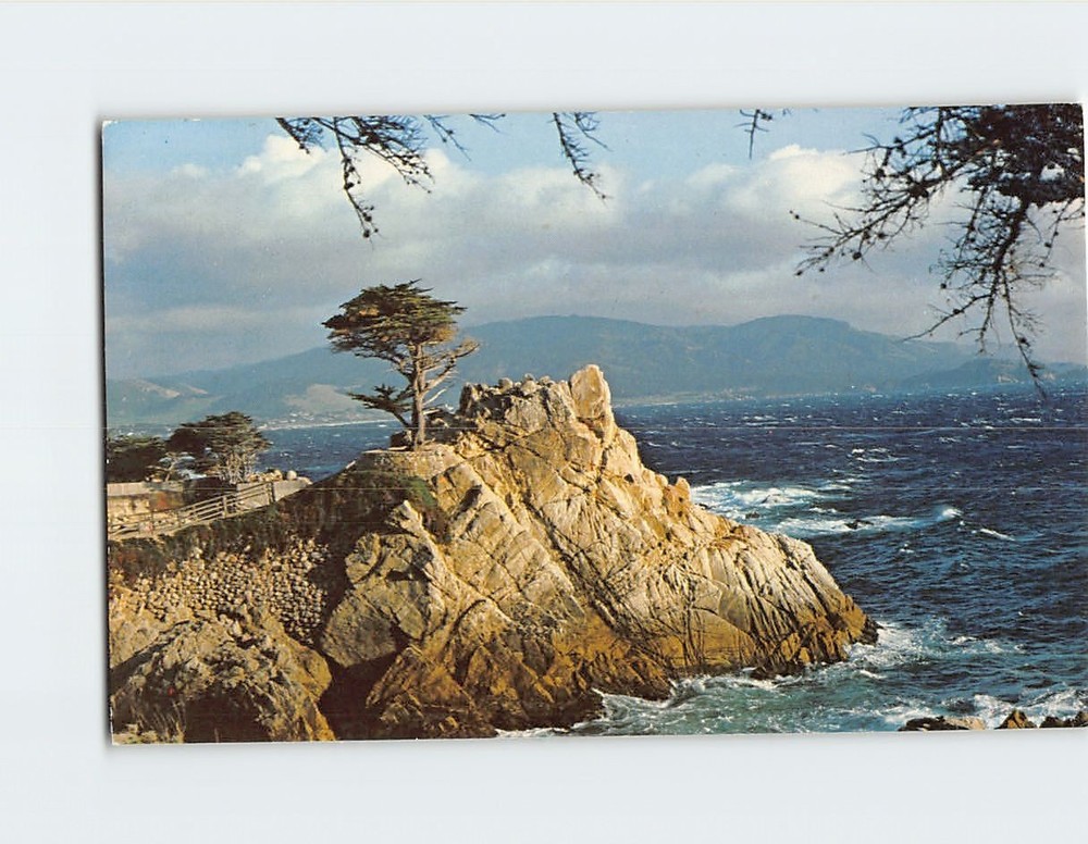Postcard Lone Cypress Del Monte Forest Pebble Beach California USA