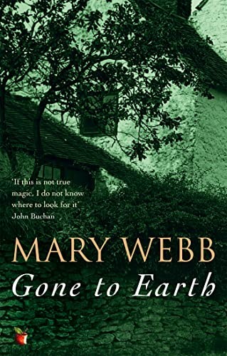 Gone To Earth (Virago Modern Classics) by Webb, Mary Paperback Book The FastFREE US DELIVERY | ISBN: 0860681432 | Quality Books
