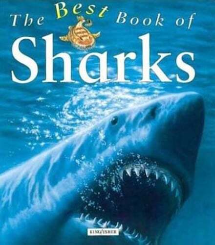 My Best Book of Sharks by Claire Llewellyn: Used