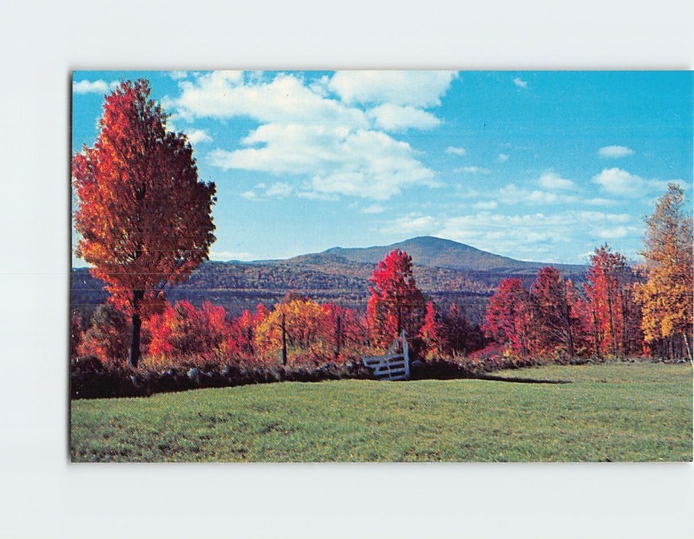 Postcard Fall Foliage Mt. Kearsage New Hampshire USA
