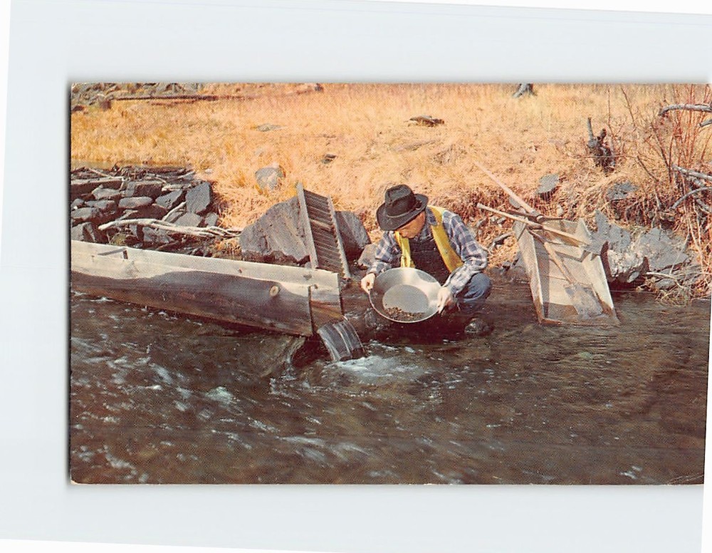Postcard Panning Gold Black Hills South Dakota USA