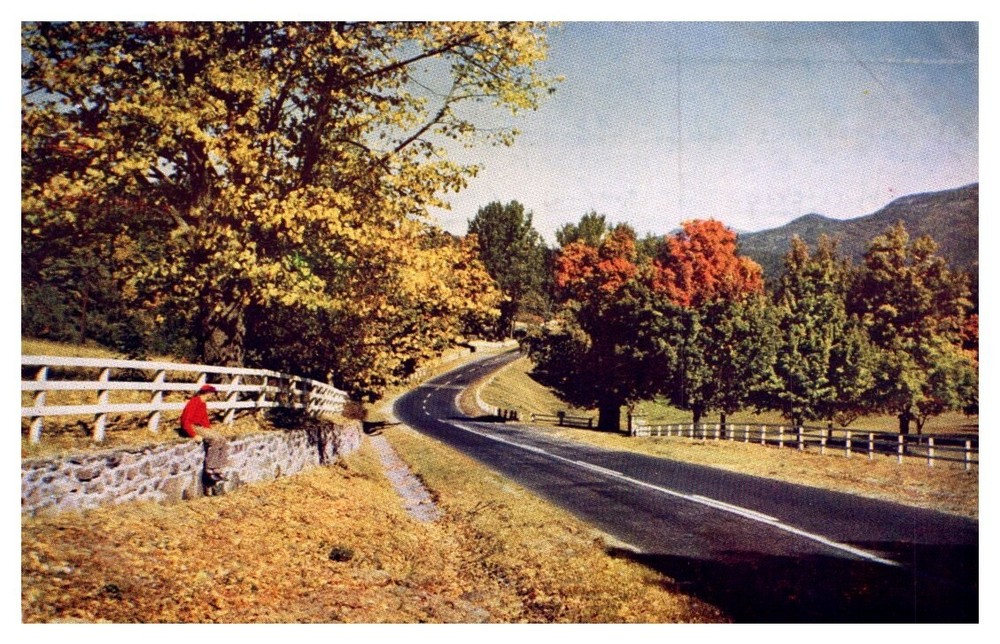 1958 Winding Country Road Lake George Adirondacks New York Vintage Postcard
