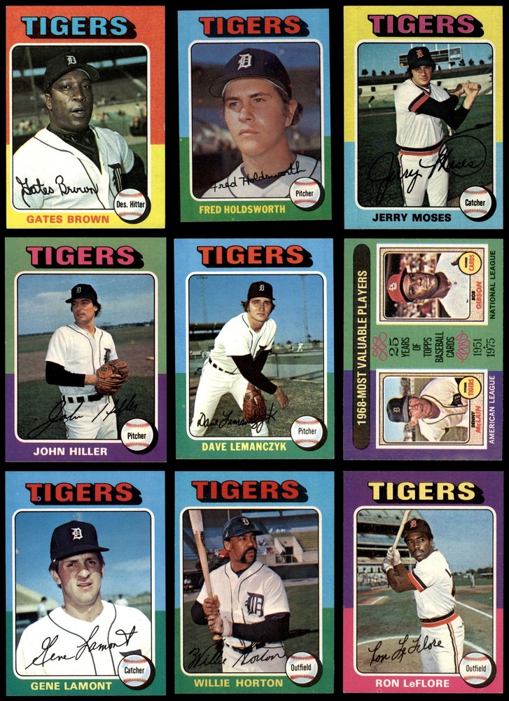 1975 Topps Detroit Tigers Near Team Set 5.5 - EX+ 7147573 (22 / 31 cards)