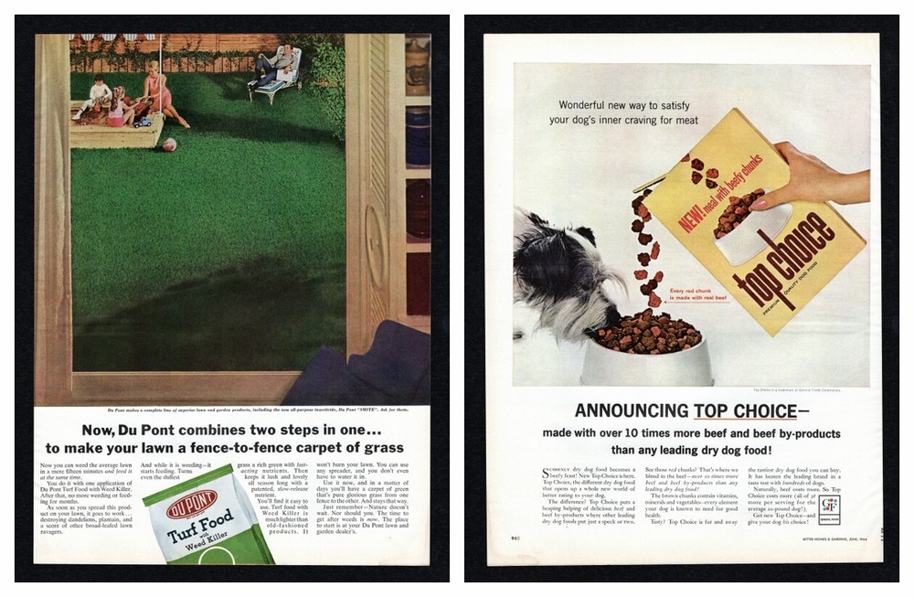 1964 Du Pont Turf Food Weed Killer / Top Choice Meat Beef Dry Dog Food Print Ad