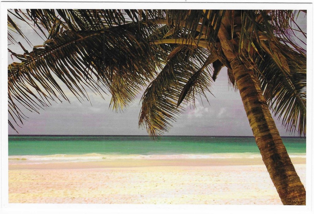 NEW Nautical Seaside Beach Ocean Coastal Themed Postcard