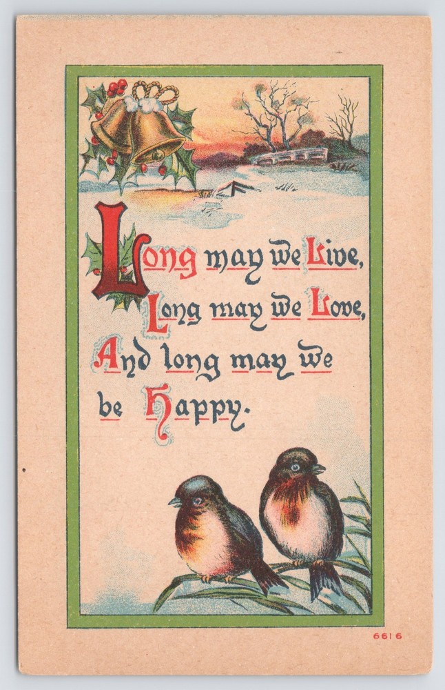 Holiday~Christmas-New Year~Birds by Snowy River~Bells & Holly~c1910 Postcard