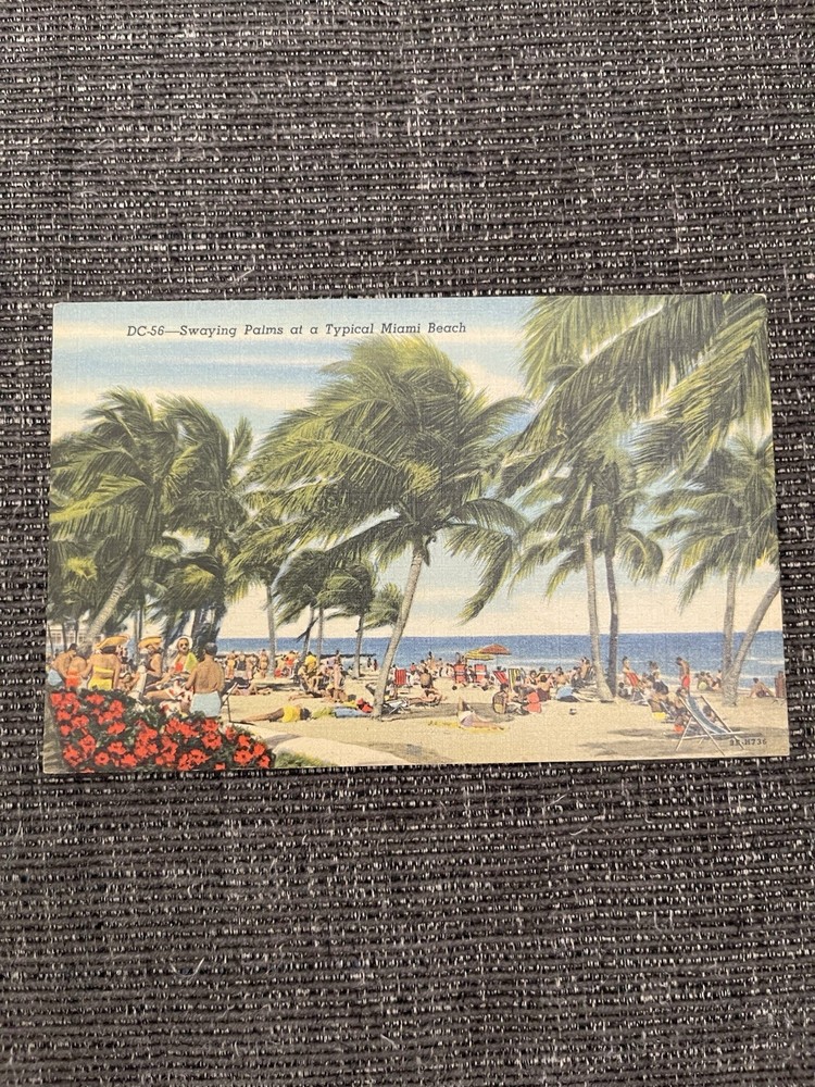 Vintage Linen Postcard Florida~Swaying Palms At A Typical Miami Beach