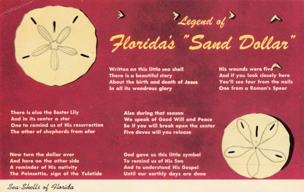 Legend of Florida's Sand Dollar Poem - FL Postcard