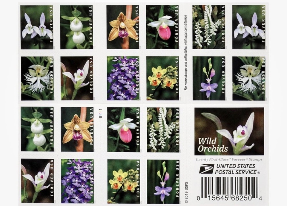 Mint US Wild Orchids Booklet Pane of 20 Forever Stamps Scott# 5454b (MNH)