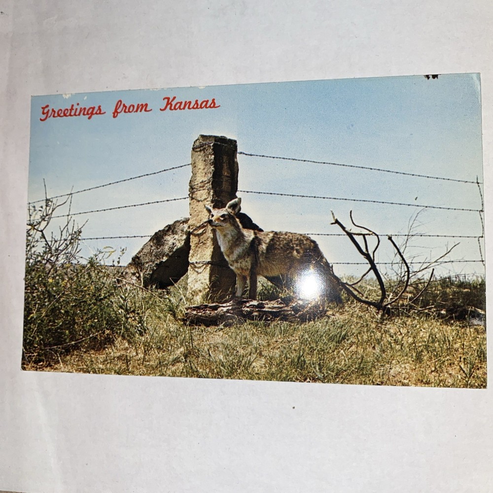 Postcard Greetings  From Kansas Lime Stone Post